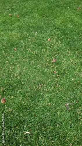 In the Green Pastures We Rest