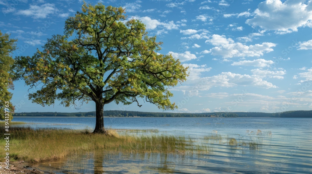 Solitary Tree by a Serene Lake Solitary Tree by a Serene Lake
