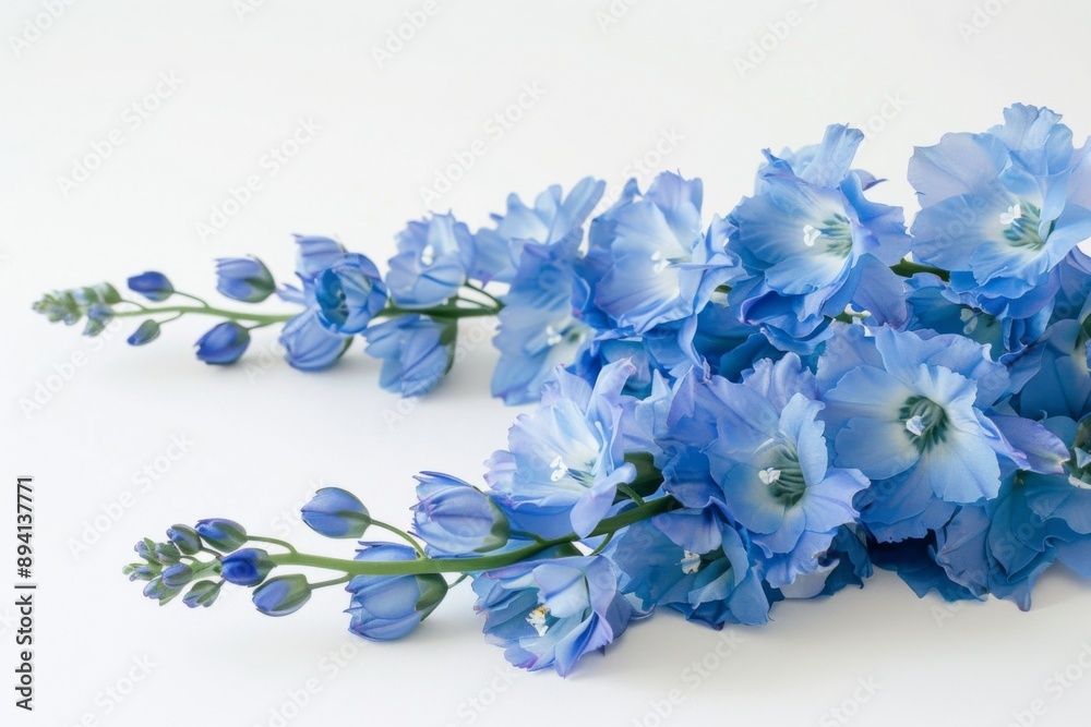 Serene depiction of delicate delphinium flowers in a minimalist setting Serene depiction of delicate delphinium flowers in a minimalist setting