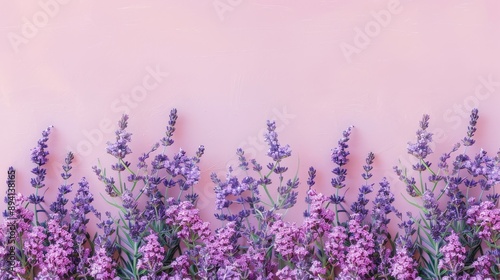 Lavender flowers line with space for text Summery backdrop