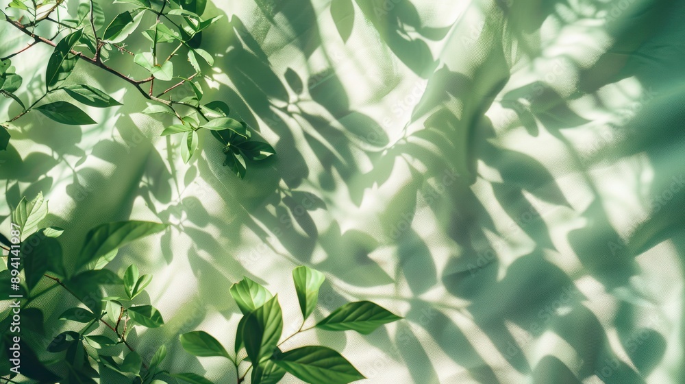 Green Leaves Shadow on Light Green Background Green Leaves Shadow on Light Green Background