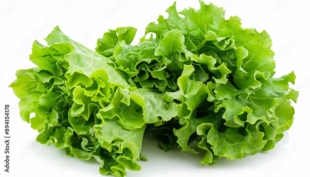 a fresh ripe lettuce on a white background a fresh ripe lettuce on a white background