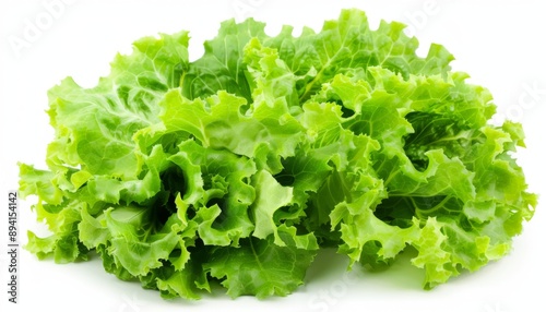 a fresh ripe lettuce on a white background