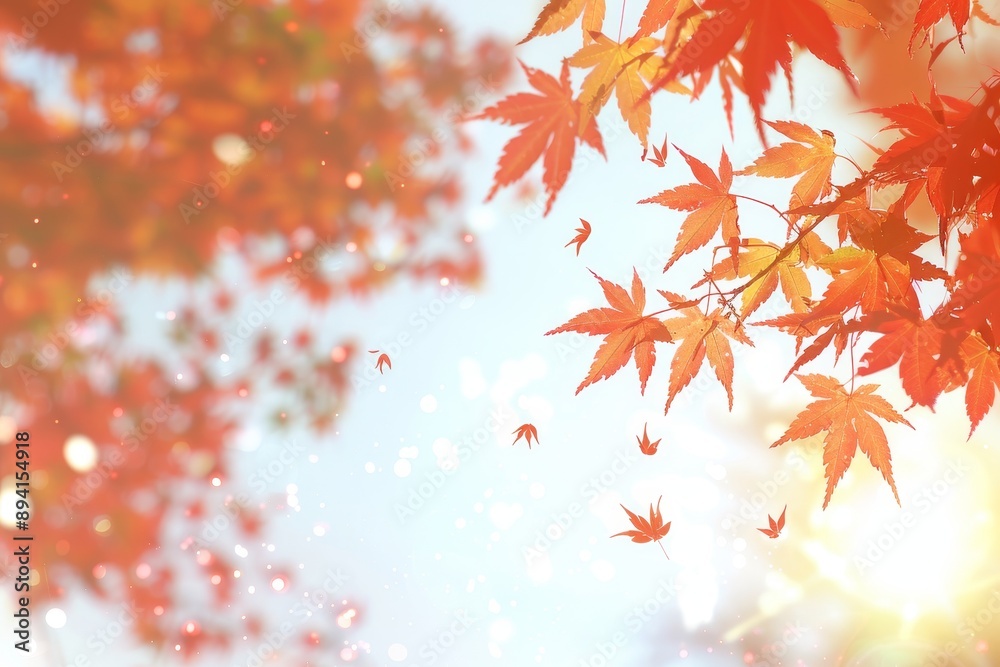 Red Maple Leaves Falling in Autumn A Tranquil Scene with Sunlight and Delicate Bokeh Red Maple Leaves Falling in Autumn A Tranquil Scene with Sunlight and Delicate Bokeh