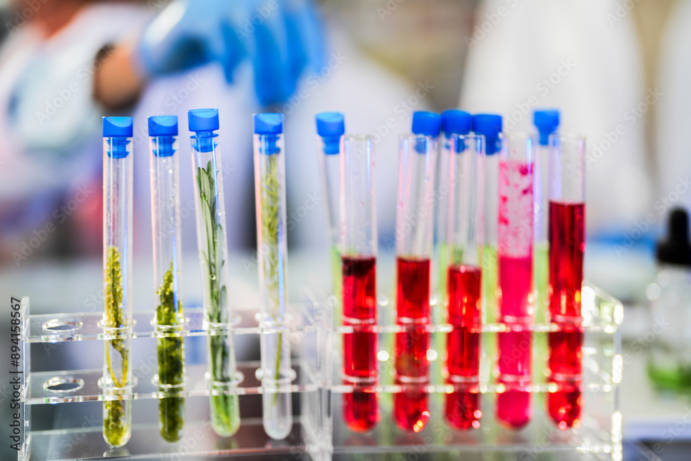 scientific tubes containing rare chemicals and exotic plant samples are used to extract substances for developing advanced medicines. scientist meticulously prepares for groundbreaking experiment. scientific tubes containing rare chemicals and exotic plant samples are used to extract substances for developing advanced medicines. scientist meticulously prepares for groundbreaking experiment.