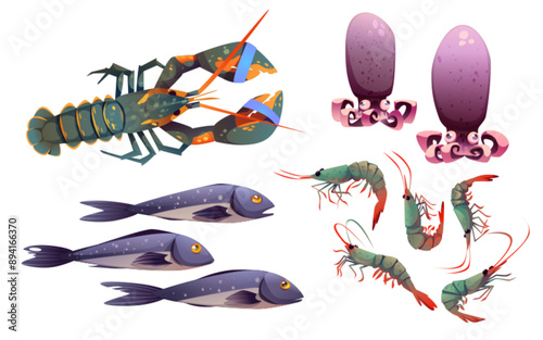 Cartoon seafood set isolated on white background. Vector illustration of lobster with big claws, tuna fish, shrimps and squid, fresh marine food market, restaurant menu, gourmet dish ingredients