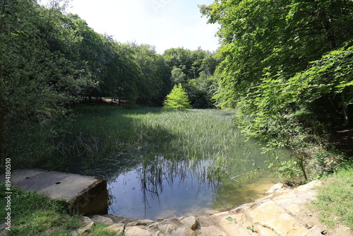 L'étang de la fontaine royale, ville de Commercy, département de la Meuse, France photo