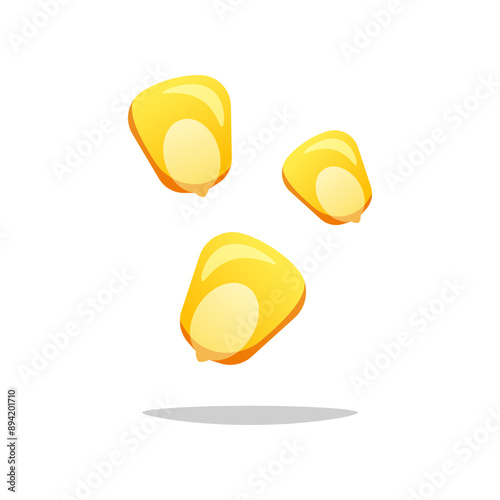 Corn seed vector isolated on white background.