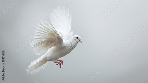 A white dove flies freely through the white space.