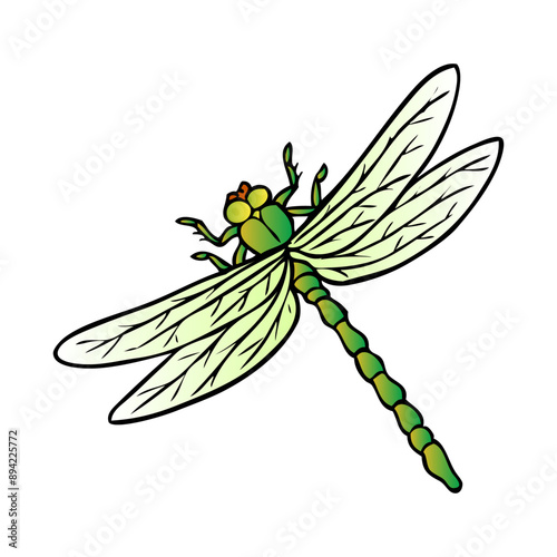 dragonfly vector illustration photo