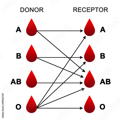 Fotografie Blood donation match or blood groups or Donor and recipients or Blood type compa
