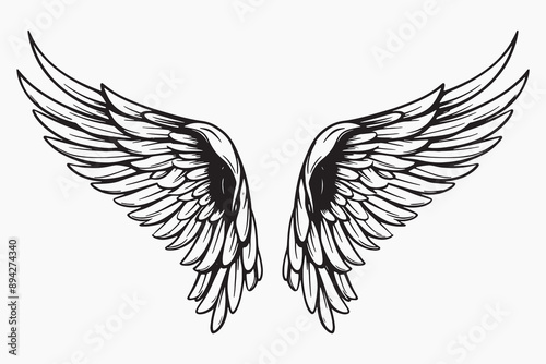 Elegant angel wings illustration