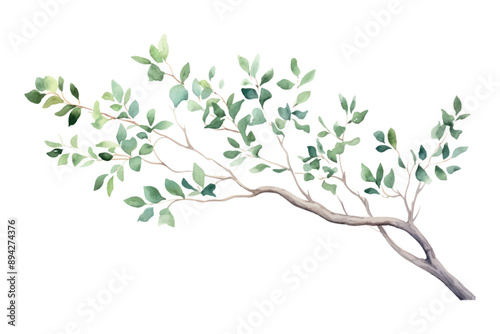Watercolor branch with green leaves