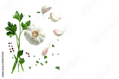 Fototapeta Naklejka Na Ścianę i Meble -  Whole head of garlic a few cloves and fresh parsley branches Isolated on a white background