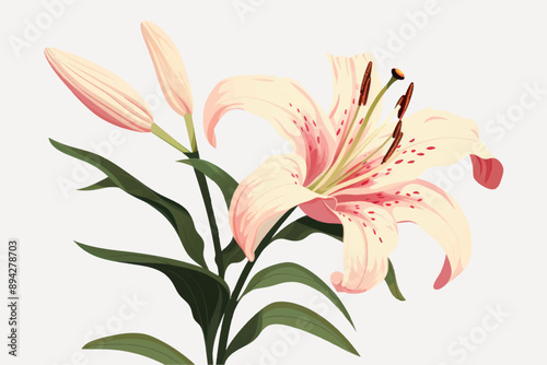 Elegant pink lily illustration