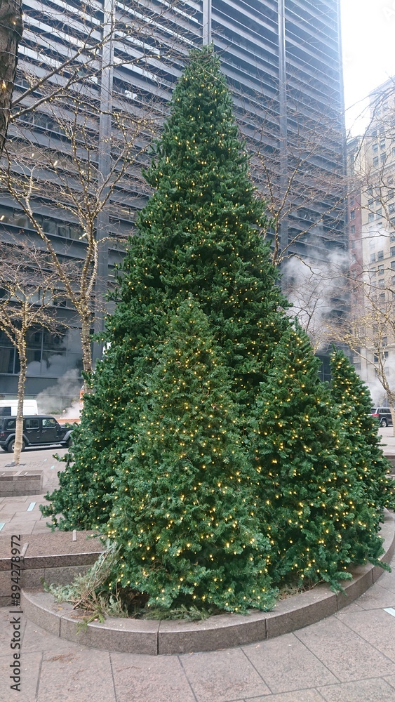 Fototapeta premium A beautifully decorated Christmas tree with fairy lights glowing in the city. The tree stands tall with its green branches and twinkling lights, adding a festive charm to the urban setting.