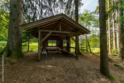 Family hike in the Wildrosenmoos Westallgau water trail near Oberreute Sulzberg photo