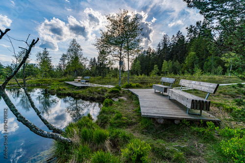 Family hike in the Wildrosenmoos Westallgau water trail near Oberreute Sulzberg