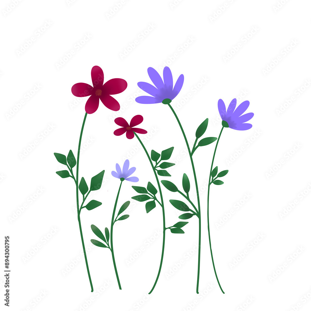 Wild flowers illustration Wild flowers illustration