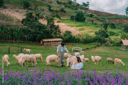 Sheep fields on the top of a mountain in Chiang Mai Province, Thailand.