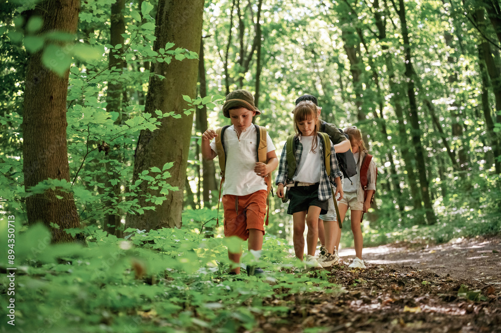 Bunch of green plants and leaves. Kids in forest at summer daytime together Bunch of green plants and leaves. Kids in forest at summer daytime together