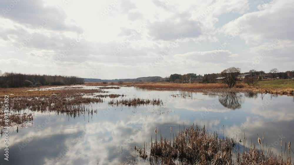 A vast wetland stretches out before the viewer, its surface a mirror reflecting the cloudy sky above. Brown reeds and grasses rise from the water, and a lone tree stands on the far bank A vast wetland stretches out before the viewer, its surface a mirror reflecting the cloudy sky above. Brown reeds and grasses rise from the water, and a lone tree stands on the far bank