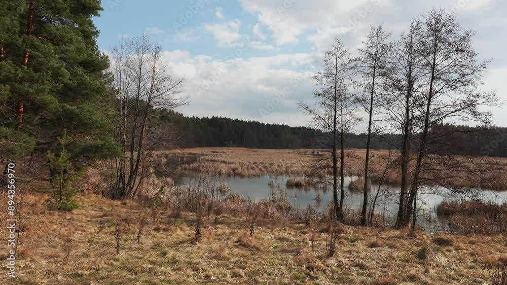 A tranquil forest scene unfolds on a spring afternoon, showcasing a small, still pond nestled amidst tall trees. The sun peeks through the clouds, casting a soft glow on the water A tranquil forest scene unfolds on a spring afternoon, showcasing a small, still pond nestled amidst tall trees. The sun peeks through the clouds, casting a soft glow on the water