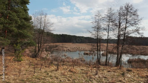 A tranquil forest scene unfolds on a spring afternoon, showcasing a small, still pond nestled amidst tall trees. The sun peeks through the clouds, casting a soft glow on the water