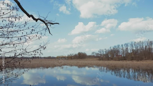 A peaceful lake reflects the blue sky and white clouds above, framed by bare branches reaching toward the sun. The lake is calm and still, with a gentle breeze creating ripples on the surface