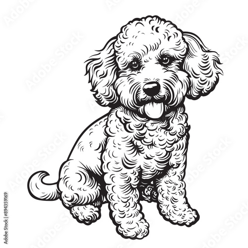 Cute toy poodle dog portrait hand drawn sketch Pets Vector illustration.