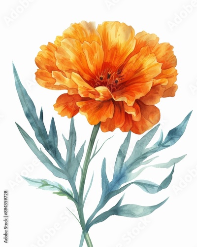 Orange chrysanthemum bouquet on white background Generative AI