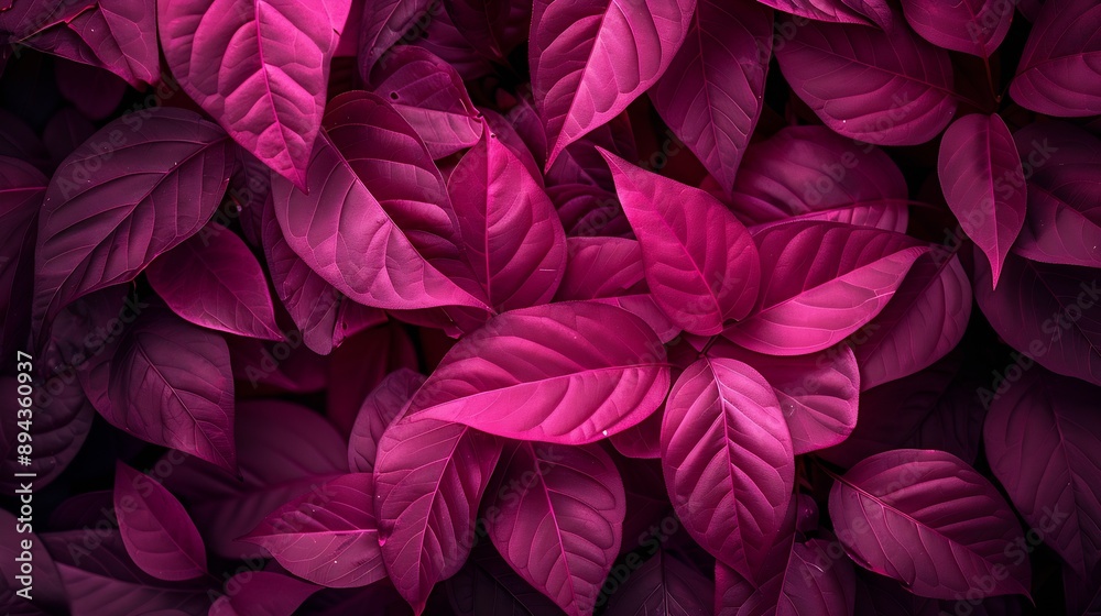 Viva Magenta beautiful view of big leaves in monochrome color Forest Viva Magenta colored plants Copy space Color of the year 2023 : Generative AI Viva Magenta beautiful view of big leaves in monochrome color Forest Viva Magenta colored plants Copy space Color of the year 2023 : Generative AI