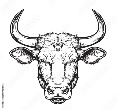 Cow head sketch hand drawn engraving style Vector illustration