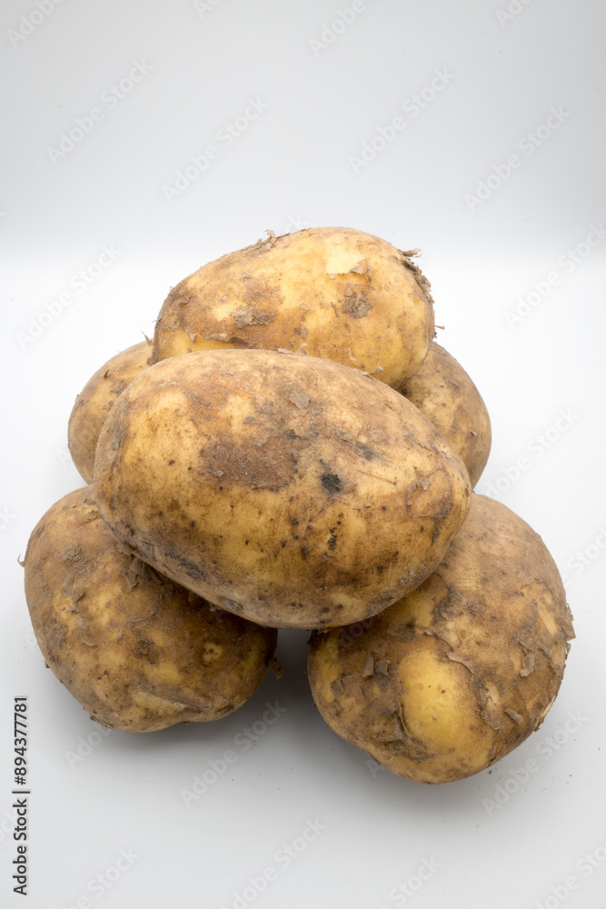 A tuber of raw potato dug out of the ground.
A tuber of raw potato dug out of the ground.