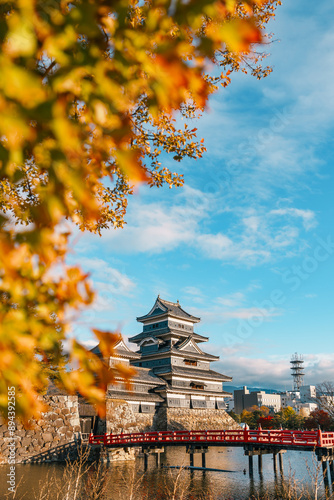 Matsumoto Castle or Crow Castle in Autumn, is one of Japanese premier historic castles in easthern Honshu. Landmark and popular for tourists attraction in Matsumoto city, Nagano Prefecture, Japan photo