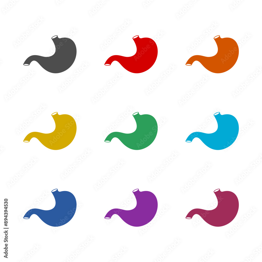 Human stomach icon isolated on white background. Set icons colorful Human stomach icon isolated on white background. Set icons colorful