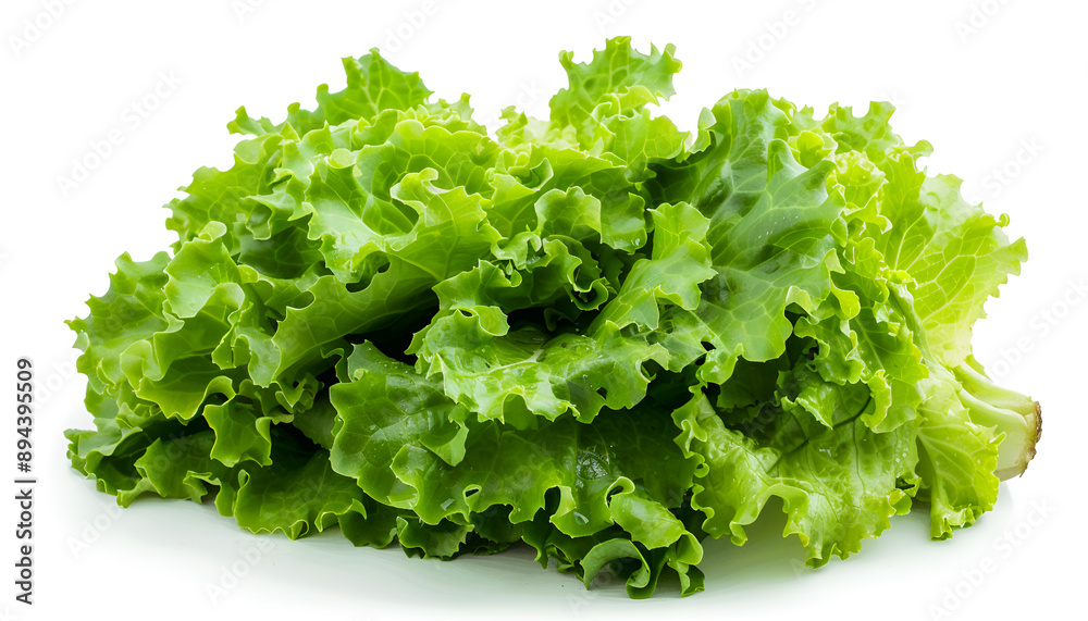 Fresh ripe cos lettuce on white background Fresh ripe cos lettuce on white background