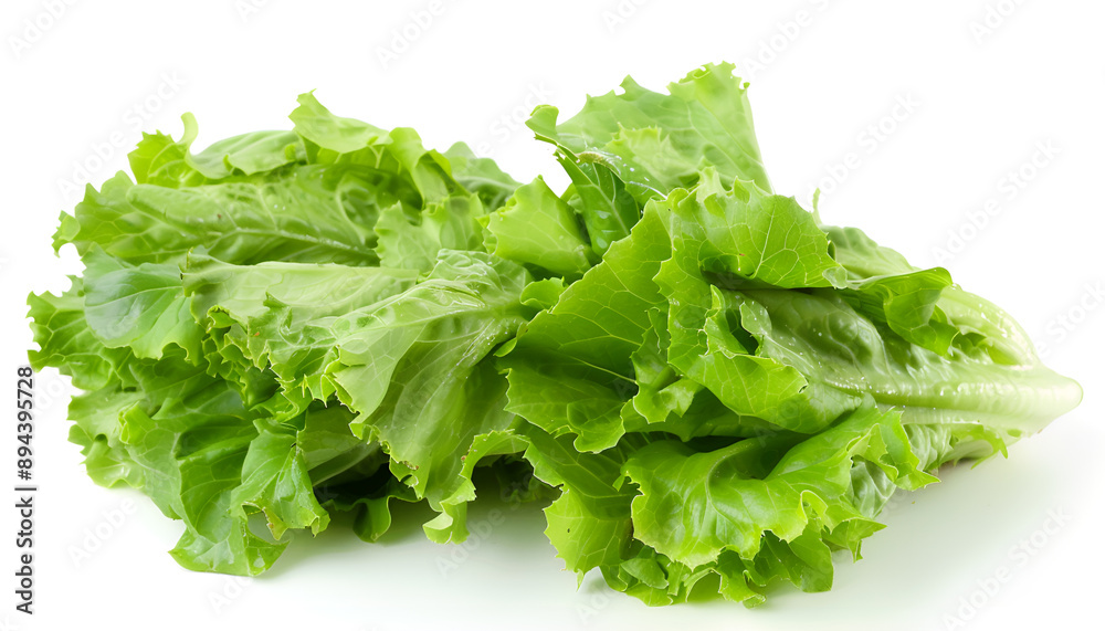Fresh ripe cos lettuce on white background Fresh ripe cos lettuce on white background