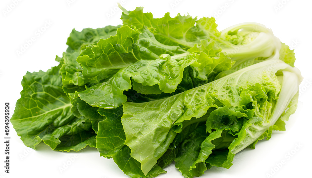 Fresh ripe cos lettuce on white background Fresh ripe cos lettuce on white background