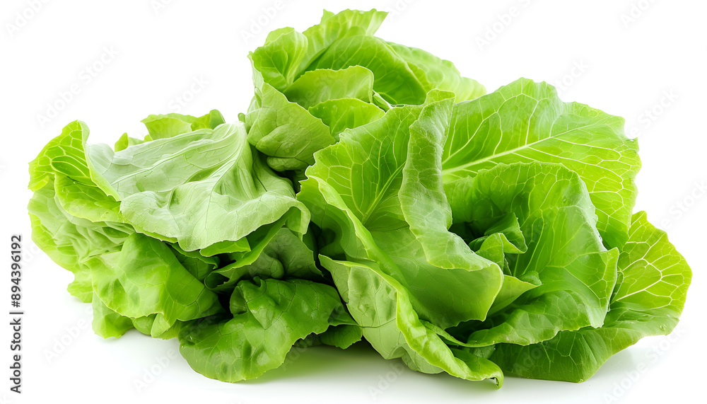 Fresh ripe cos lettuce on white background Fresh ripe cos lettuce on white background