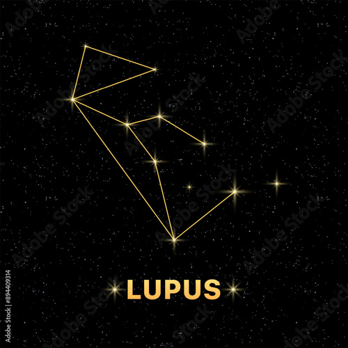 Lupus constellation banner. Constellation icon. Flat style.