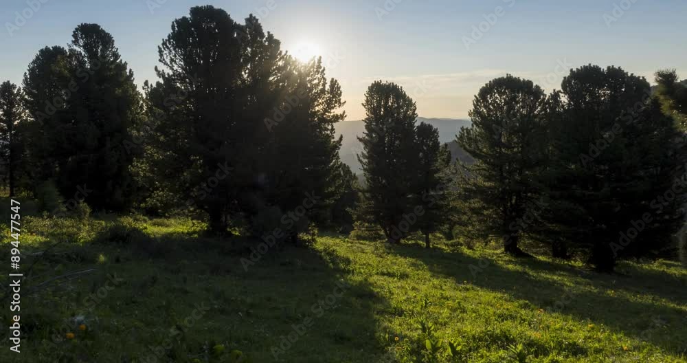 Timelapse of evening sun rays emerging through the cold foggy clouds in the mountains. Sunset in mountain fog. Camera motion. Timelapse of evening sun rays emerging through the cold foggy clouds in the mountains. Sunset in mountain fog. Camera motion.