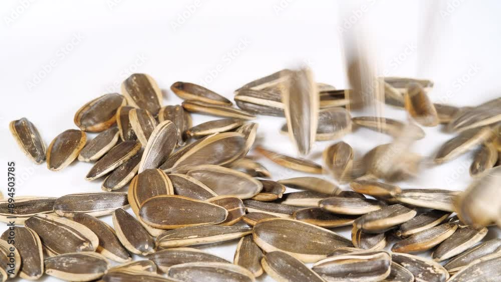 Dried Sunflower Seeds Falling on a Plate in Slow Motion Close Up. Top View. Background from Natural Products Dried Sunflower Seeds Falling on a Plate in Slow Motion Close Up. Top View. Background from Natural Products