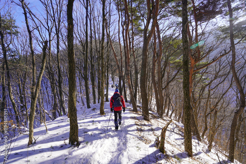 Mulhan-ri, Yeongdong-gun, Chungcheongbuk-do, South Korea - December 25, 2022: Winter view of a male hiker walking on snow covered hiking trail amid pine trees at Minjoojisan Mountain 