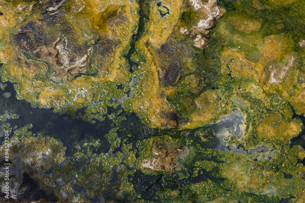 Abstract stains of mineral deposits from thermal springs Abstract stains of mineral deposits from thermal springs
