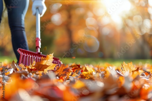 Raking Autumn Leaves in a Park