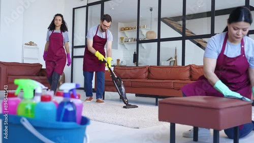 Professional cleaners focus on disinfection, housekeeping, sanitizing, and vacuuming for spotless living spaces. Slow motion