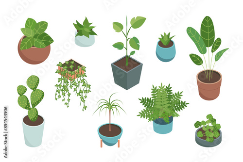 Cartoon Color House Plants Set 3d Isometric View Include of Cactus, Philodendron and Succulent. Vector illustration