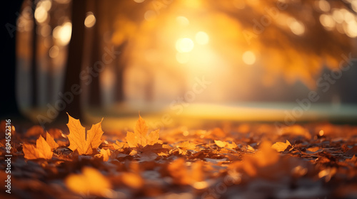 Orange maple leaves on a branch with bokeh in the background.