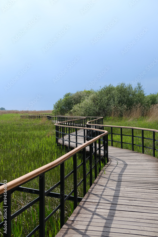 Eco path wooden walkway in Lukomorie, ecological trail path - route walkways laid in the forest, in St. Petersburg, Russia.